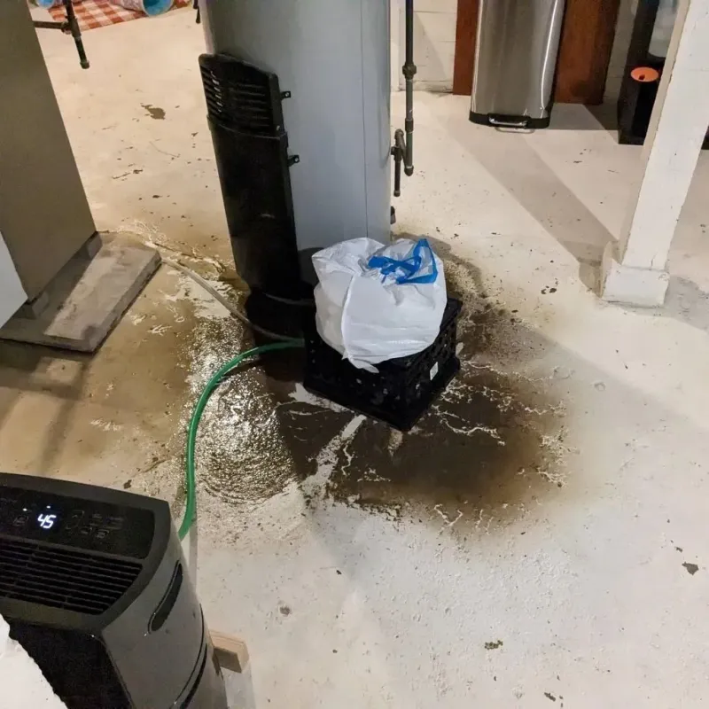 Sewage Backup Cleanup Service in Brookdale, CA